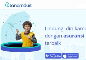 asuransi tanamduwit