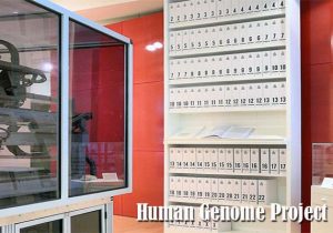 Human Genome Project