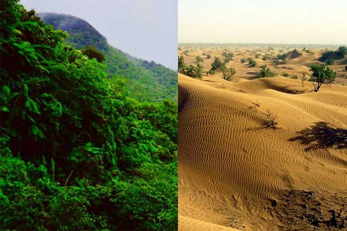Perbedaan Hutan Hujan Tropis dan Gurun