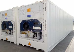 Kontainer Reefer Cargo