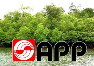 Asia Pulp and Paper