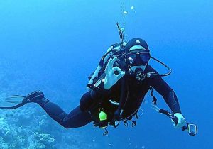Olahraga Diving