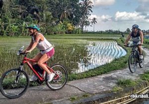 Tour Sepeda Bali di Ubud