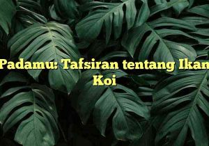 Padamu: Tafsiran tentang Ikan Koi