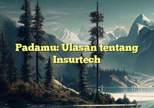 Padamu: Ulasan tentang Insurtech