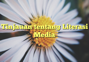 Tinjauan tentang Literasi Media